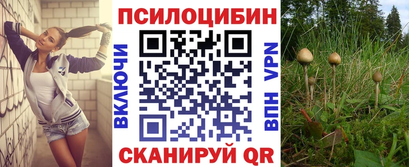 Галлюциногенные грибы Psilocybe  закладки  Новая Ладога 