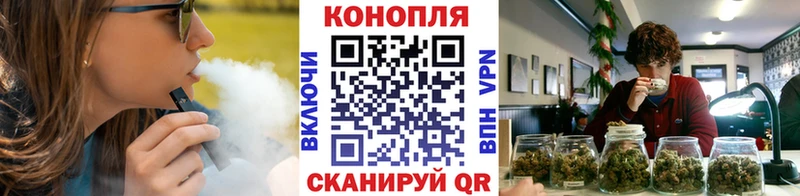 Конопля AK-47  цены наркотик  Новая Ладога 